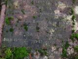 image of grave number 913517